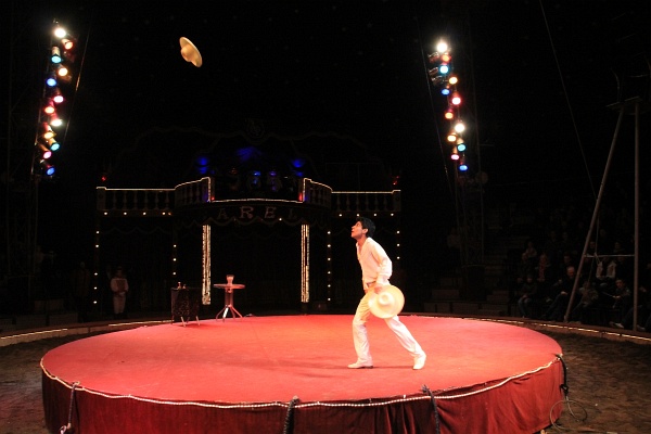 Circus Barelli   124.jpg